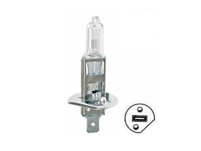 12 V Halogenpolttimo H1
